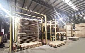  Plywood Production Line