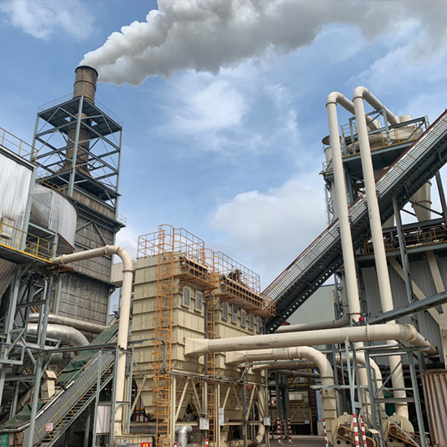 पीबी/ओएसबी उत्पादन लाइन (पत्तियों के साथ ताड़ के पत्ते)